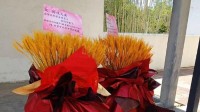 吧友为游科送大麦花篮：感谢你们为国产3A付出的一切