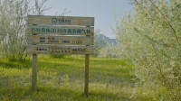 蚂蚁森林8年成绩公布：已种树5.48亿棵 