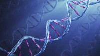 科学家开发出DNA存储新技术 糖块大小可存千万GB