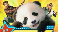 成龙、魏翔《熊猫计划》官宣定档 十一国庆欢乐上映