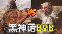 UP主制作赛博斗蛐蛐《黑神话》BVB：虎先锋vs疯虎