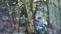 画风突变！《黑神话》花果山的树