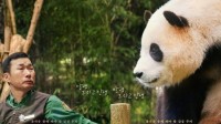 福宝电影《再见,爷爷》韩国首映 首日票房强势夺冠
