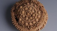 1400年前的月饼还能看到花纹：宝相花纹栩栩如生