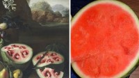蔬菜水果被人类驯化之前什么样？西瓜白给我都不吃