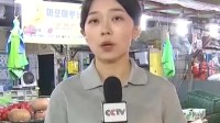 韩国2公斤白菜卖到79元 紧急从中国进口大白菜