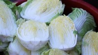 大白菜一颗80元吃不起 韩国人用卷心菜娃娃菜代替