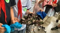 小时候上微机课到底为什么要穿鞋套？80、90后破防 