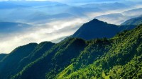 哀牢山发布访客须知：擅进保护区最高罚5000元