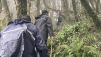 专家称哀牢山磁场异常很常见 由带磁性矿物岩石造成
