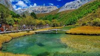 8人被终身禁入亚丁景区 躲过景区清山还撬门拔监控