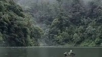 哀牢山成现实版云南虫谷 地质工作者：不神秘但独特