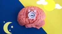 新研究：缺觉4天可引发全身炎症风暴 导致死亡