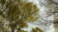 BBC天气软件出错 显示英国一地风速每小时3万公里