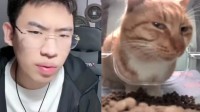 听泉鉴宝修改学历信息：不是北大考古系毕业生了