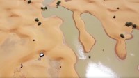 撒哈拉沙漠暴雨引发洪水 当地人：已有三五十年未见