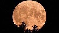 2024年度最大满月要来了 17日晚现身夜空