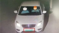 新能源汽车小聪明挂了个老头乐车牌 潇洒俩月终被抓