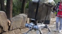网友偶遇机器狗载重物爬泰山：最多可承载120公斤