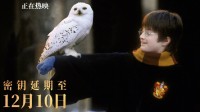 《哈利波特》重映前两部密钥延期:这下可以八部连看了