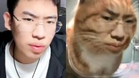 听泉鉴宝APP下架多个商品：仅剩毛绒抱枕 摇头摆件