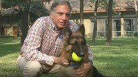 打破常规！印度亿万富翁将8.4亿遗产留给爱犬、管家 