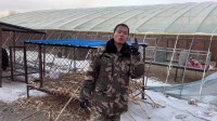 潘宏爱玩狗宣布暂时停播：要调整心态 直播太闹心