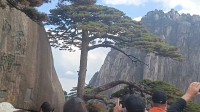 一小时登顶黄山奖1万引热议 非官方活动报名费699元
