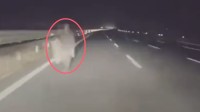 行人凌晨高速路逆行 理想AEB立功：救了两个家庭