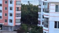 女子11元拍到海景房 险被老公拒收：以为是诈骗