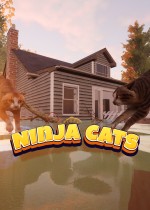 Ninja Cats