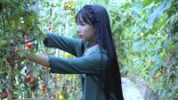 微念称与李子柒的案件已完全和解 目前继续合作
