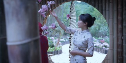 国内第一网红！李子柒新视频油管日收入预估超8万元