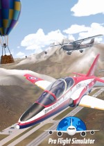 Pro Flight Simulator
