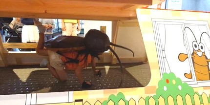 今日私密马赛：亲子活动让小孩扮蟑螂体验蟑螂屋