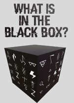 What is in the Black Box?