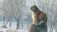 现在买水去救火？不看车灯看尾灯的囧图