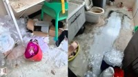 摸鱼时间:天花板上掉下300斤野猪 护士将房间住包浆
