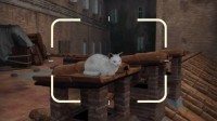 猫猫爱好者狂喜！《夺宝奇兵》给猫拍照可得额外XP