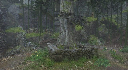 《黑神话：悟空》第一回落伽香藤地图位置