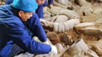 秦兵马俑发掘重大发现 20年来首次出土高级军吏俑
