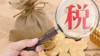 百万粉丝网红收入超千万 申报个税收入竟未达5000元