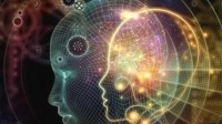 人类大脑信息处理速度有多慢？每秒仅10个字节