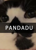 PANDADU