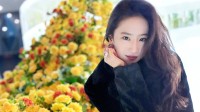 说去就去！刘亦菲去哈尔滨看冰封黄玫瑰：美丽冻人