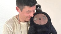 你怎么看？3万一只的AI宠物 正成为日本富人的新宠