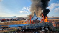 韩国客机撞墙起火事故179人遇难 客机疑似撞鸟
