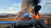 专家称韩国空难机场设计近乎犯罪！179人本不会死