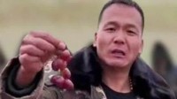 训狗主播潘宏不反对吃狗肉：猪还可爱呢