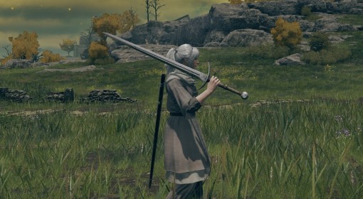 《艾尔登法环》混种大剑面板与获取教程